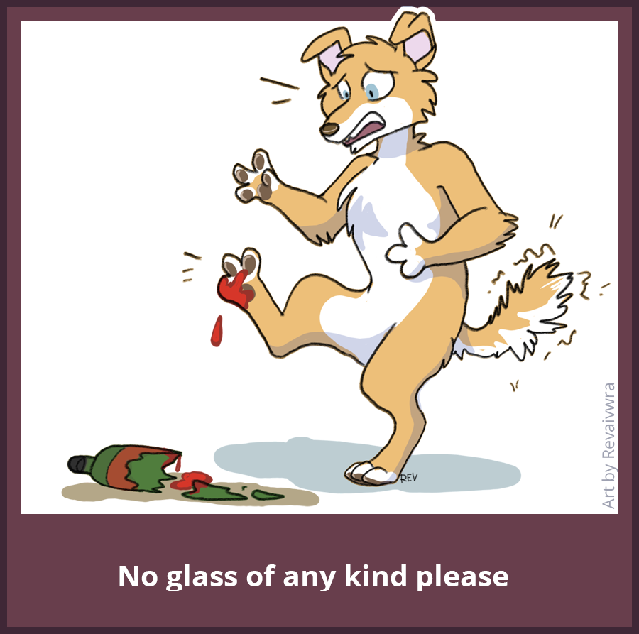 Fursuit Lounge Rules: No Glass