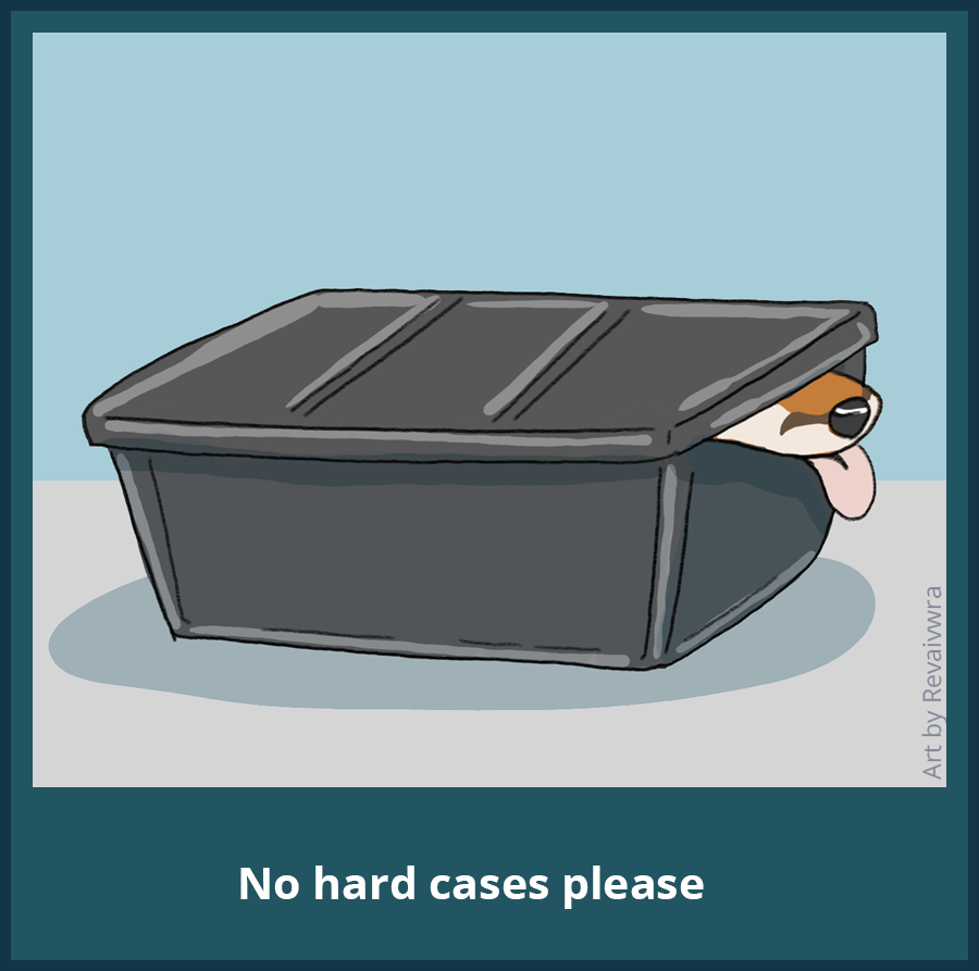 Fursuit Lounge Rules: No Hard Cases