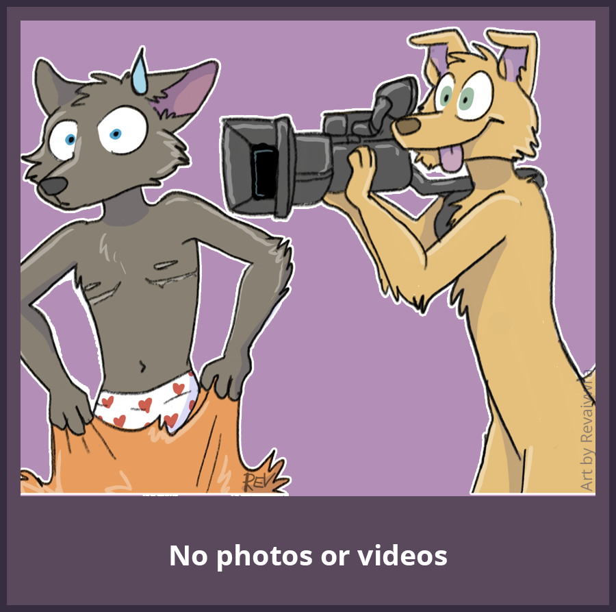 Fursuit Lounge Rules: No Photography or Video Recording