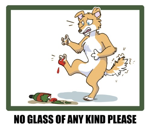 Fursuit Lounge Rules: No Glass