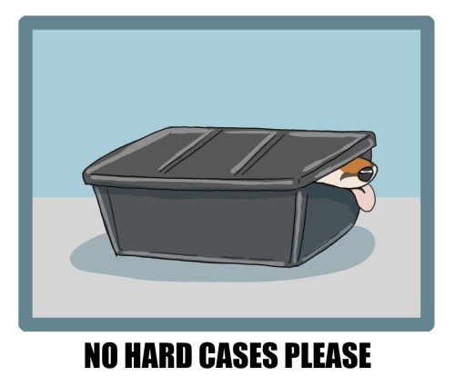 Fursuit Lounge Rules: No Hard Cases