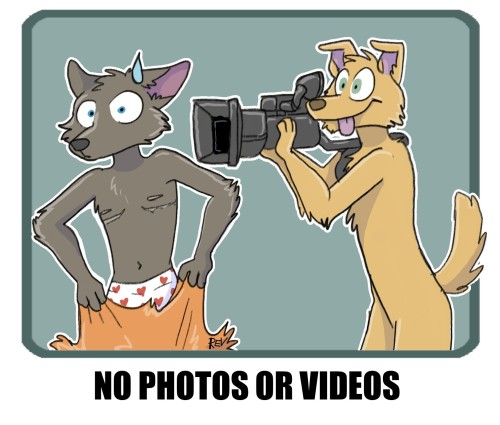 Fursuit Lounge Rules: No Photography or Video Recording